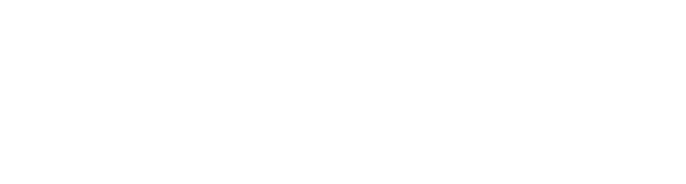 alegeus logo, white